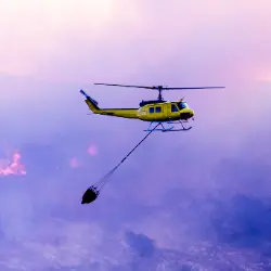 Diferenças entre Retardantes de Longo e Curto Prazo